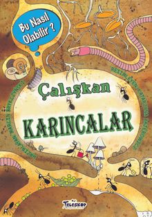 Çalışkan Karıncalar / Bu Nasıl Olabilir?