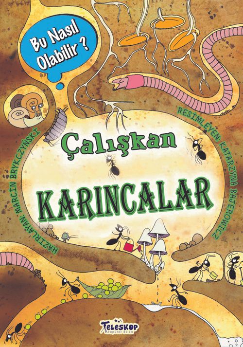 Çalışkan Karıncalar / Bu Nasıl Olabilir?