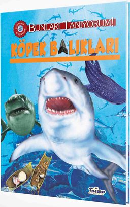 Köpek Balıkları / Bunları Tanıyorum