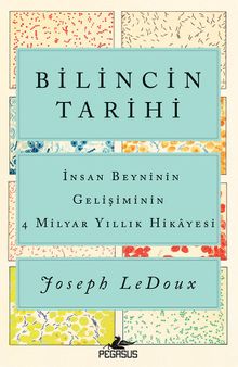 Bilincin Tarihi: İnsan Beyninin Gelişiminin  4 Milyar Yıllık Hikayesi