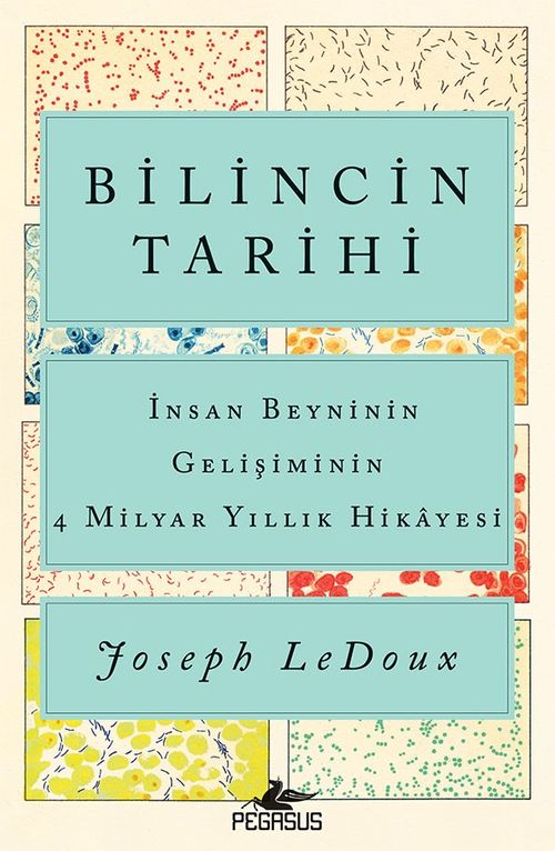 Bilincin Tarihi: İnsan Beyninin Gelişiminin  4 Milyar Yıllık Hikayesi