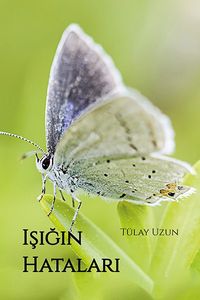 Işığın Hataları
