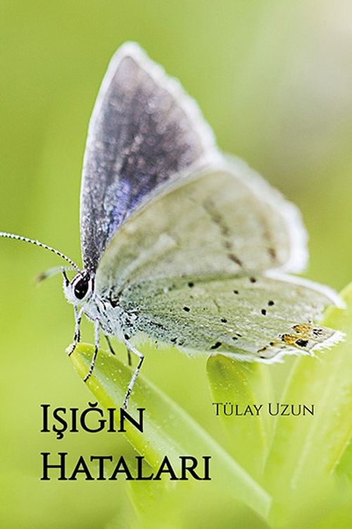 Işığın Hataları