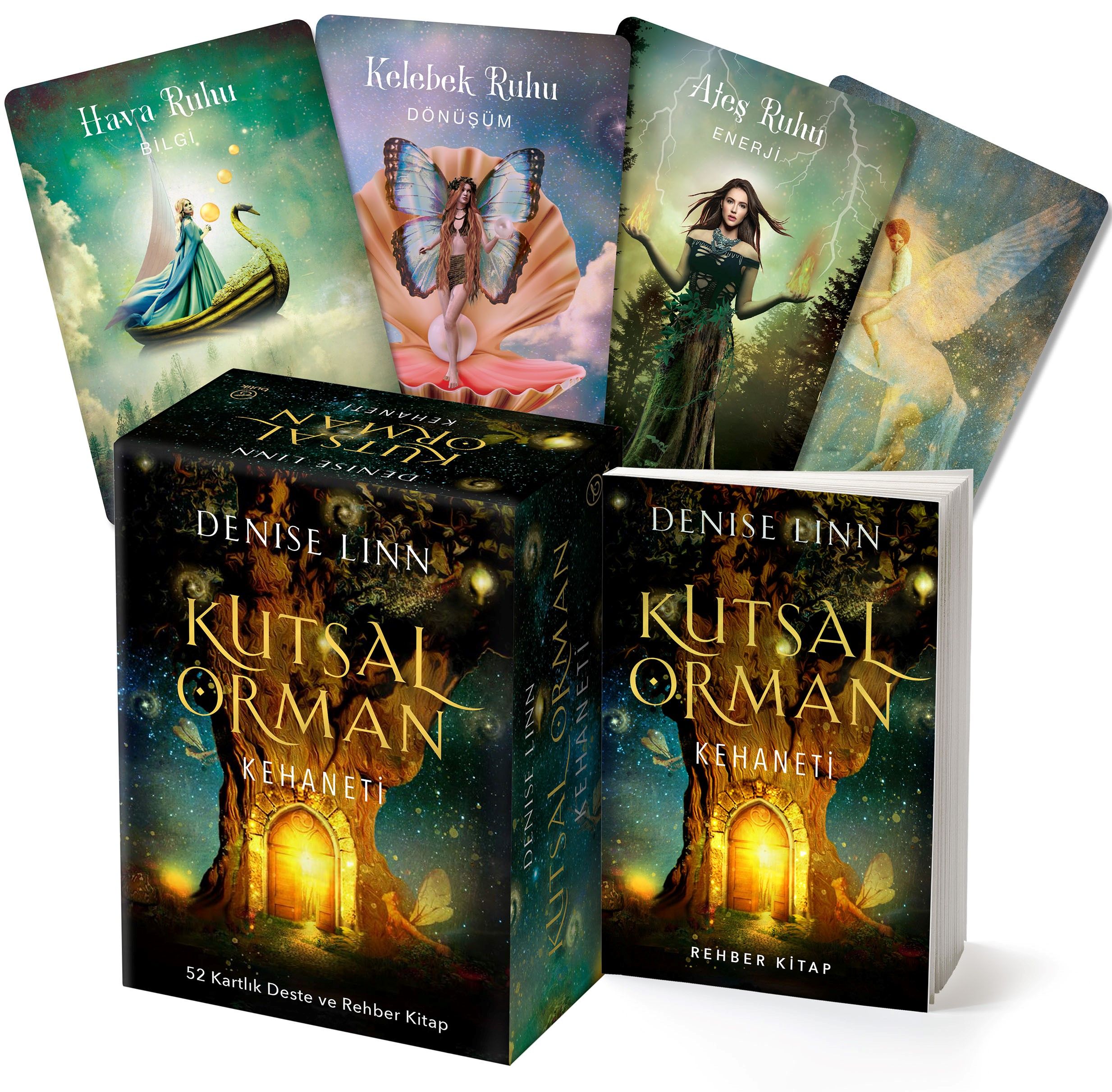 FOREST OF ANGEL Vol.12 ケイスケ君 Kutsal Orman Kehaneti (52 Kartlık Deste ve Rehber Kitap) (Denise