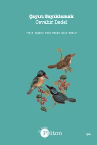 Çayırı Sayıklamak