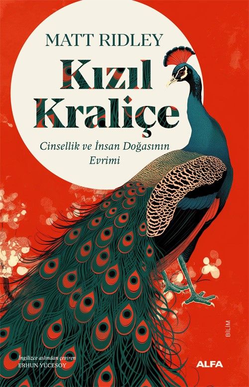 Kızıl  Kraliçe & Seks ve İnsan Doğasının Evrimi