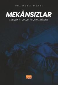 Mekansızlar & Evsizlik, Toplum ve Sosyal Hizmet