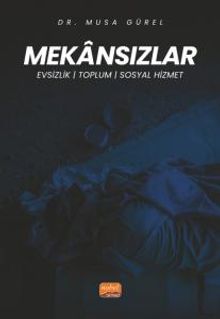 Mekansızlar & Evsizlik, Toplum ve Sosyal Hizmet