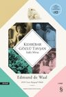 Kehribar Gözlü Tavşan &amp; Saklı Tavşan