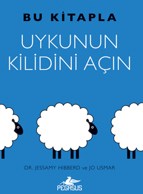 Bu Kitapla Uykunun  Kilidini Açın