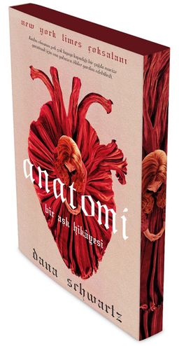 Anatomi & Bir Aşk Hikayesi