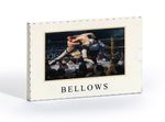 George Bellows SanatKart Serisi