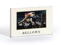 George Bellows SanatKart Serisi