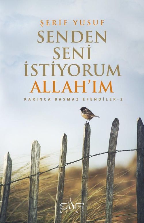 Senden Seni İstiyorum Allah'ım