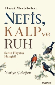 Nefis, Kalp ve Ruh & Hayat Mertebeleri Senin Hayatın Hangisi?