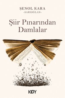 Şiir Pınarından Damlalar 