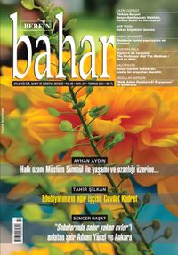 Berfin Bahar Aylık Kültür Sanat ve Edebiyat Dergisi Sayı:317 Temmuz 2024