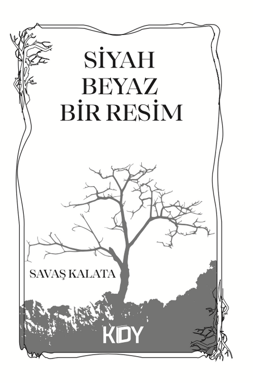 Siyah Beyaz Bir Resim