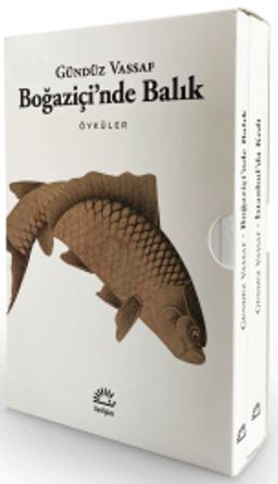 Boğaziçi'nde Balık - İstanbul'da Kedi (2 Kitap - Kutulu Set)