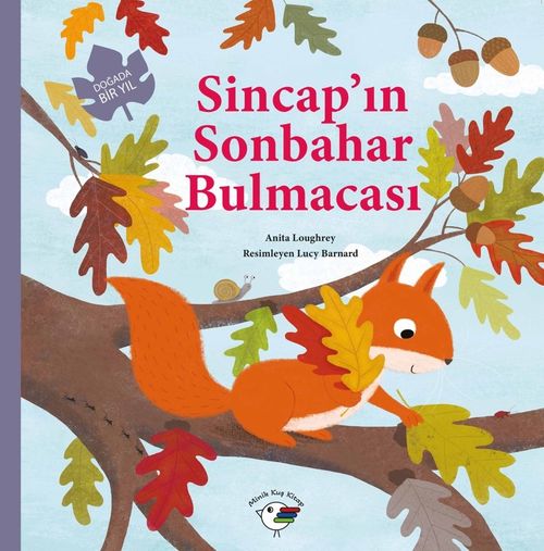 Sincap'ın Sonbahar Bulmacası & Doğada Bir Yıl