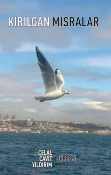 Kırılgan Mısralar