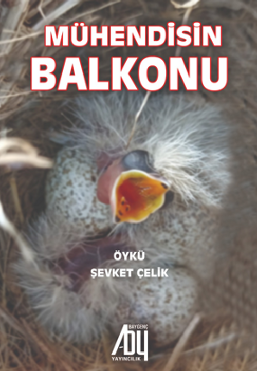 Mühendisin Balkonu