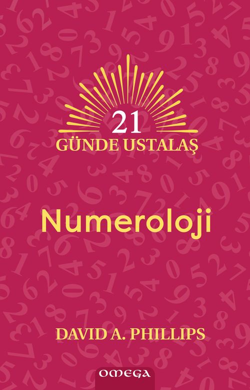 Numeroloji & 21 Günde Ustalaş