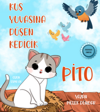 Kuş Yuvasına Düşen Kedicik Pito