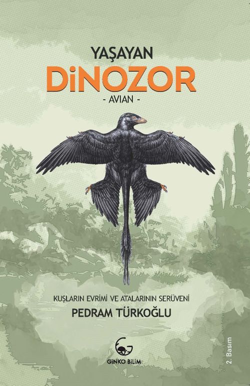 Yaşayan Dinozor -  Avian - Kuşların Evrimi ve Atalarının Serüveni