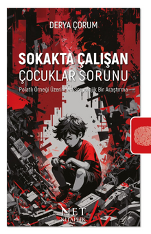 Sokakta Çalışan Çocuklar Sorunu & Polatlı Örneği Üzerinden Sosyolojik Bir Araştırma