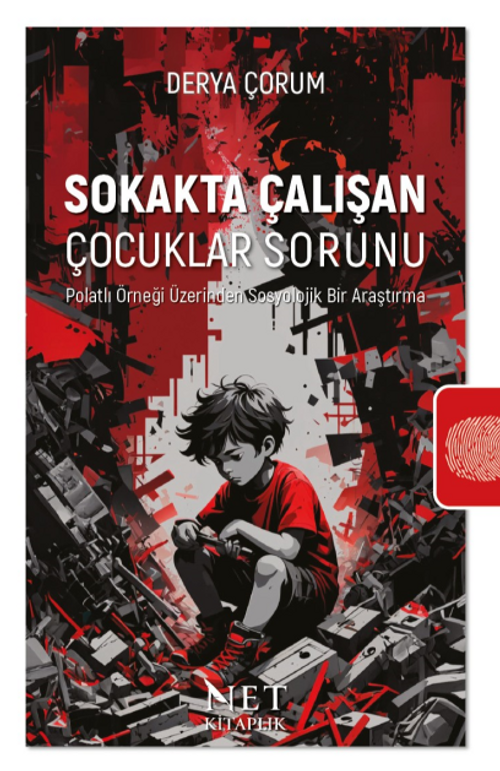 Sokakta Çalışan Çocuklar Sorunu & Polatlı Örneği Üzerinden Sosyolojik Bir Araştırma