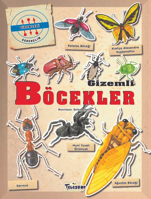 Gizemleri Öğrenelim - Gizemli Böcekler