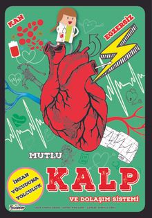 Mutlu Kalp ve Dolaşım Sistemi