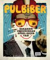 Pul Biber Dergisi Sayı :9 Haziran 2016