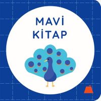 Mavi Kitap