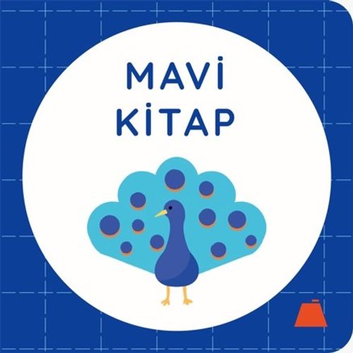 Mavi Kitap