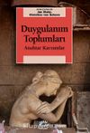 Duygulanım Toplumları & Anahtar Kavramlar