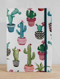 Kaktüsler Defter (STK22)