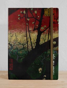 Van Gogh-Erik Bahçesi (STK 36)