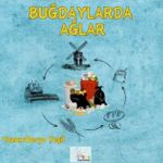 Buğdaylarda Ağlar