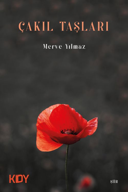 Çakıl Taşları