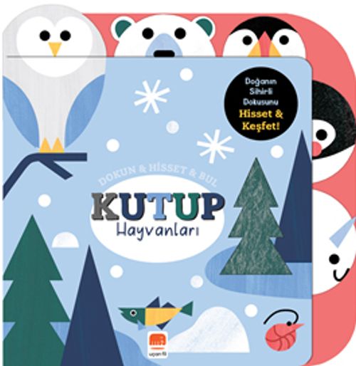 Dokun Hisset Bul /  Kutup Hayvanları