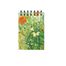 Butterflies and Poppies Spiral Not Defteri