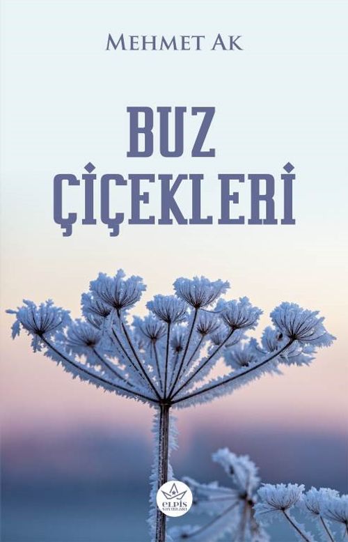 Buz Çiçekleri 