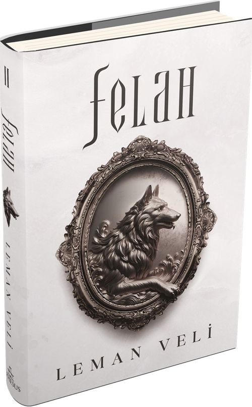Felah 2 (Ciltli) 