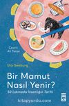 Bir Mamut Nasıl Yenir? & 50 Lokmada İnsanlığın Tarihi