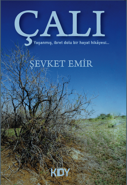 Çalı