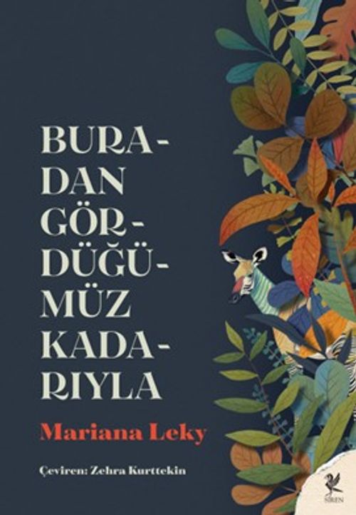 Buradan Gördüğümüz Kadarıyla