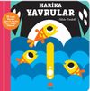 Kaydır ve G&uuml;l&uuml;mse / Harika Yavrular