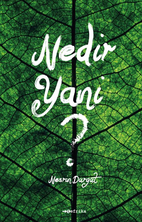 Nedir Yani ?
